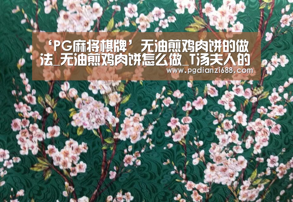 ‘PG麻将棋牌’无油煎鸡肉饼的做法_无油煎鸡肉饼怎么做_T汤夫人的菜谱(图2) PG麻将官网