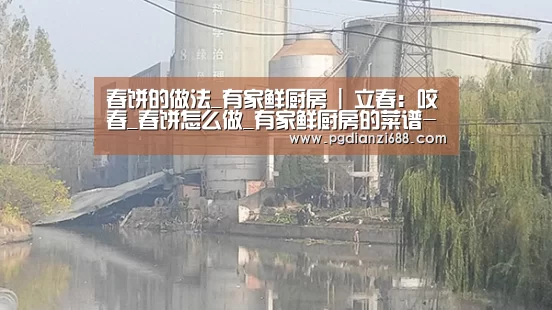 春饼的做法_有家鲜厨房 | 立春:咬春_春饼怎么做_有家鲜厨房的菜谱-PG游戏平台(图3) PG麻将棋牌