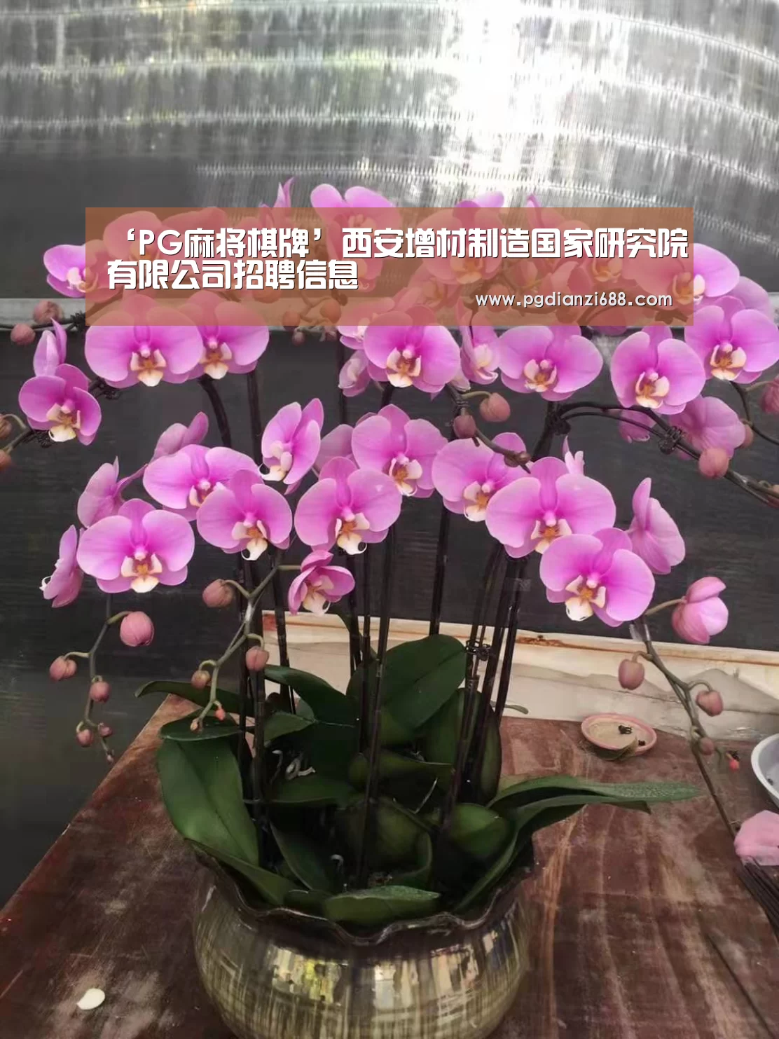 ‘PG麻将棋牌’西安增材制造国家研究院有限公司招聘信息(图2) PG游戏平台