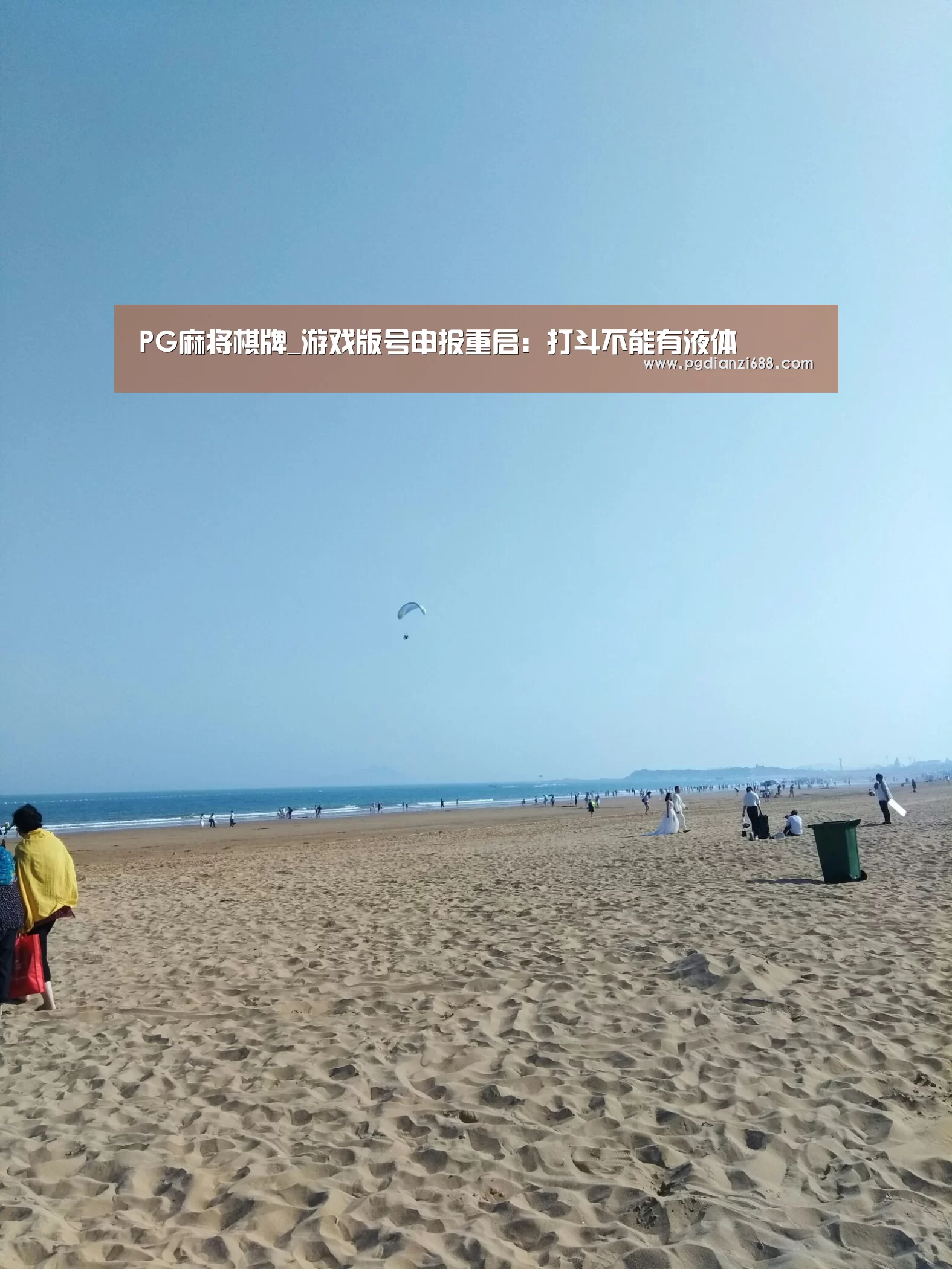 PG麻将棋牌_游戏版号申报重启:打斗不能有液体(图3) PG游戏平台