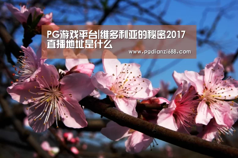 PG游戏平台|维多利亚的秘密2017直播地址是什么(图4) PG登录入口
